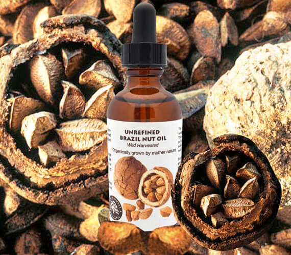 Virgin Brazil Nut Oil -organic, undiluted